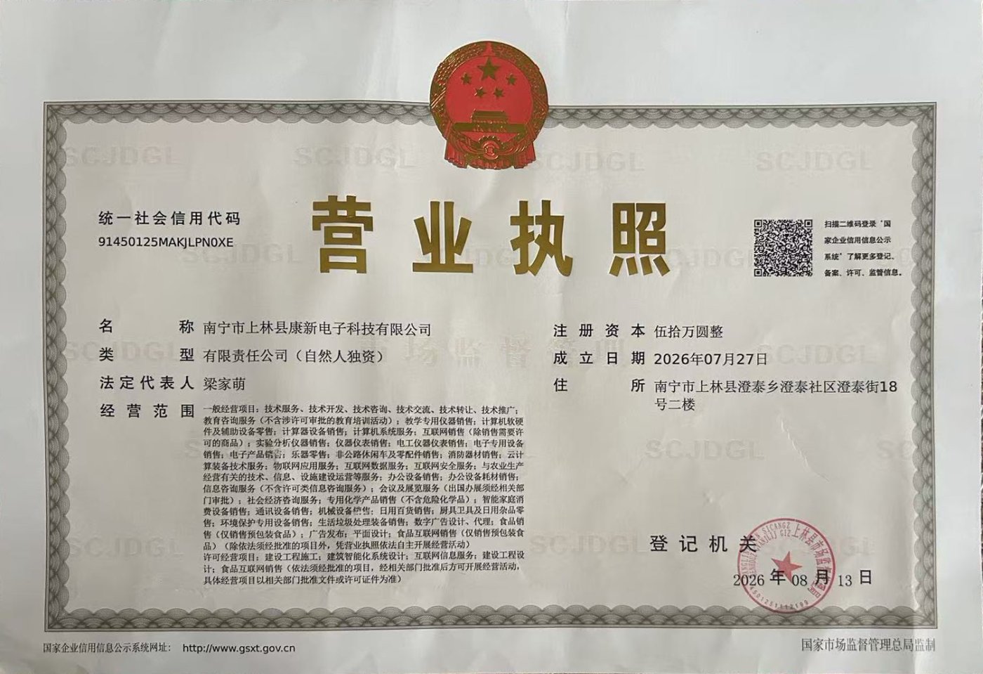 南宁市上林县康新电子科技有限公司营业执照副本