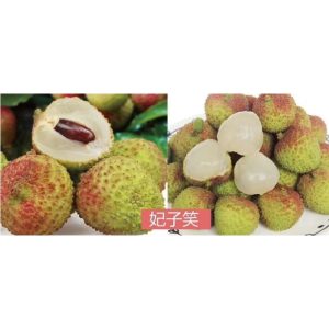灵山县妃子笑荔枝 当季新货 3斤